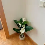 3 Bedroom Balcony Med-rambla Nova タラゴナ