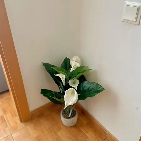 3 Bedroom Balcony Med-rambla Nova Tarragona