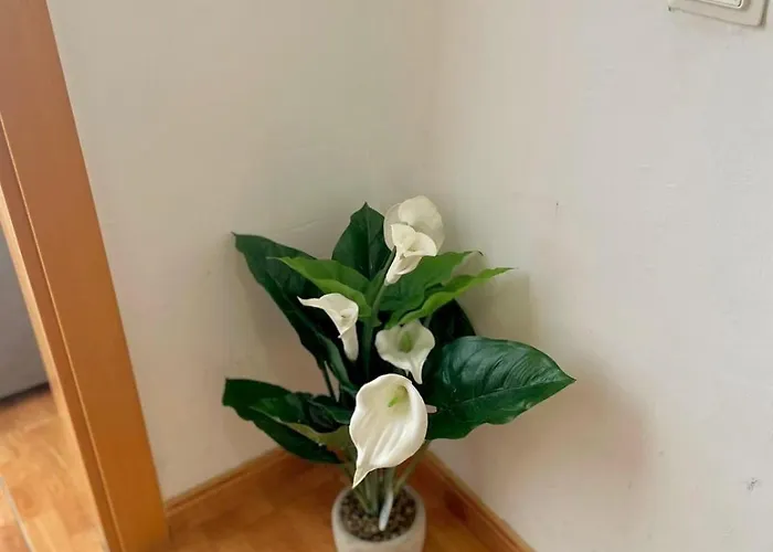 3 Bedroom Balcony Med-rambla Nova Tarragona